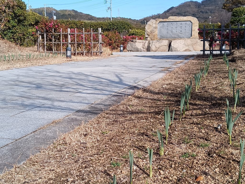  Apple、西海岸の消防活動に追加資金を寄付